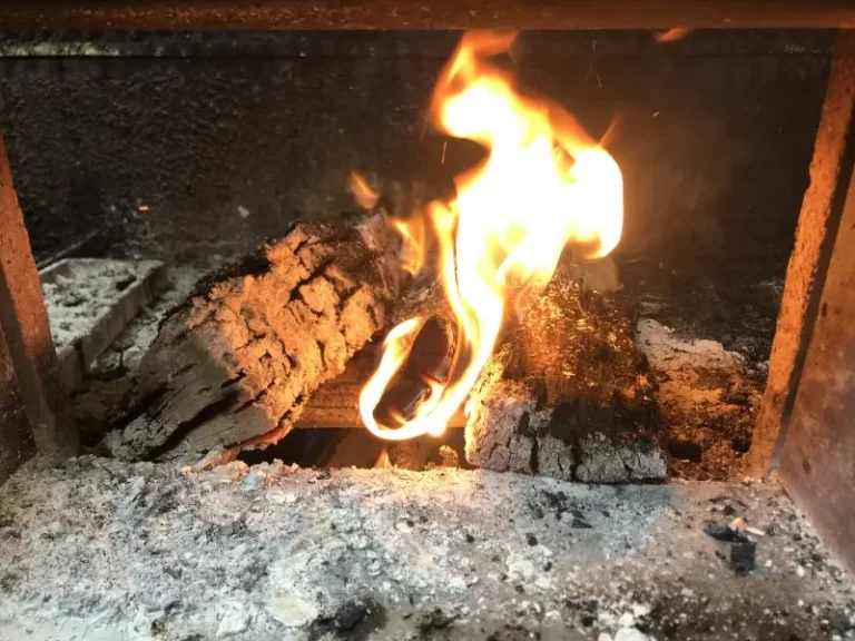 Best Burger Wood Fire in Houston