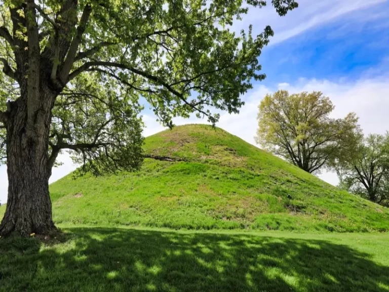 mound septic system