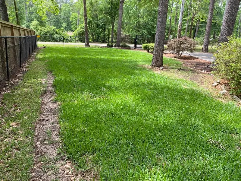 area after septic company installed septic tank