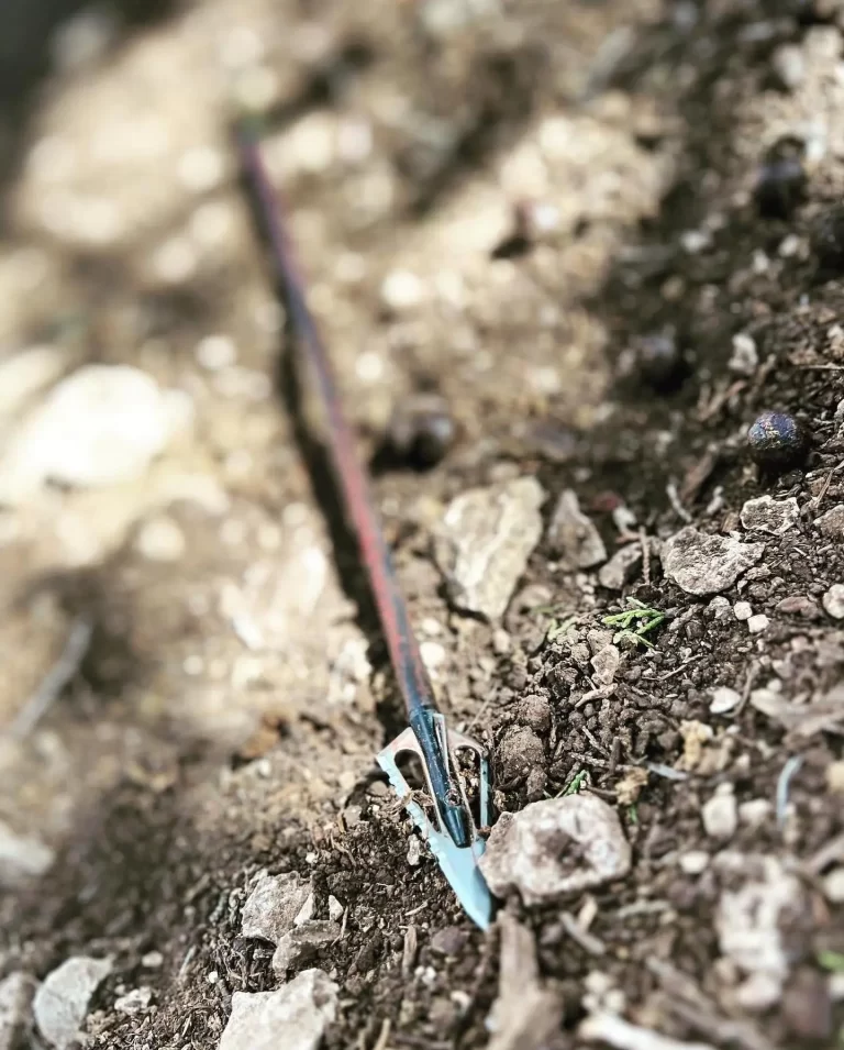 archery texas archery in spring texas (37)