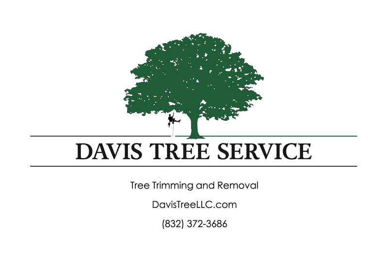 davistreelogo2024 1
