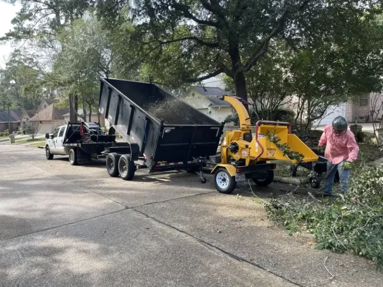 tree service tree removal tree trimming stump grinding (35) montgomery, tx
