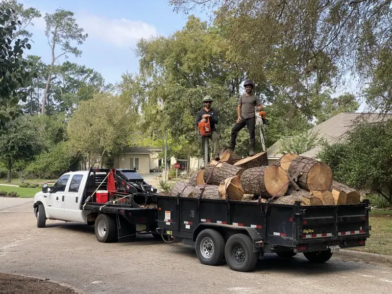 tree service tree removal tree trimming stump grinding (47) montgomery, tx